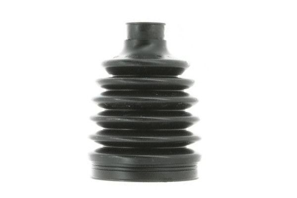 Fuelle, árbol de transmisión