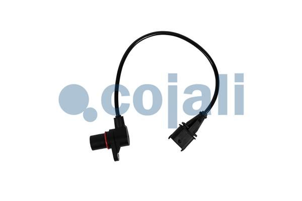 Sensor, Motordrehzahl