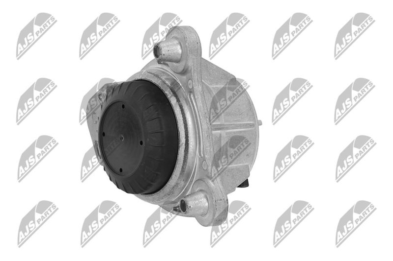 Paigutus, Mootor, NTY ZPS-ME-066