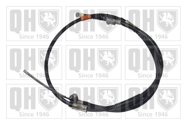 QH_BC3339.JPG