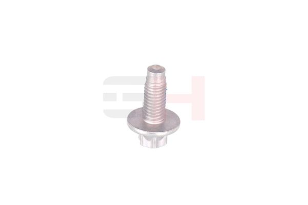 Vedruamordi tugilaager, GH GH-393311