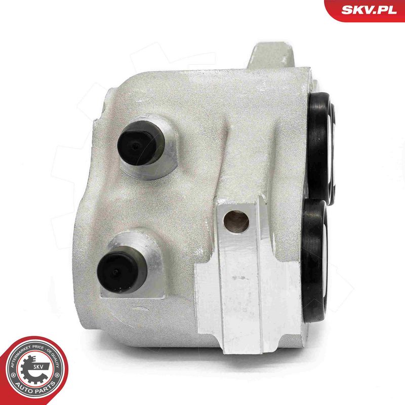 ESEN SKV 67SKV182 Brake Caliper