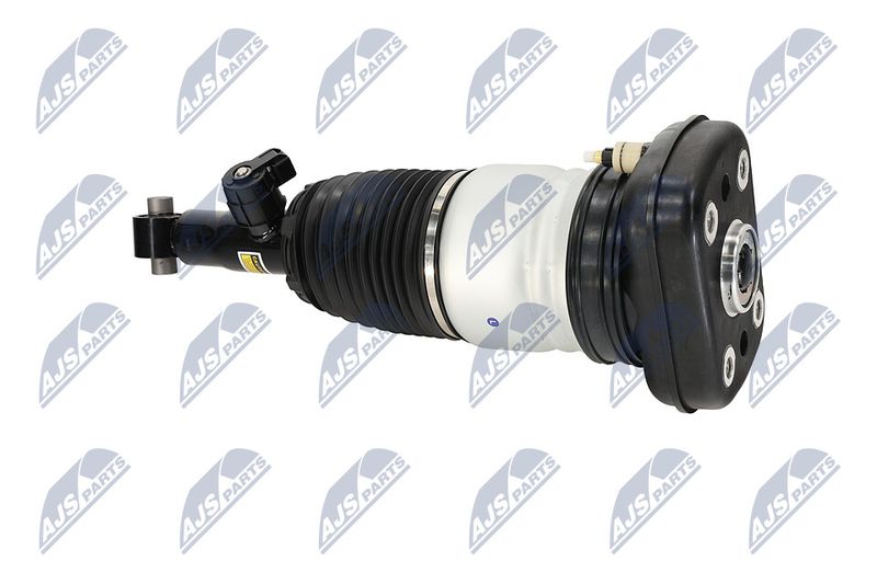 Amort, NTY A-BM-101