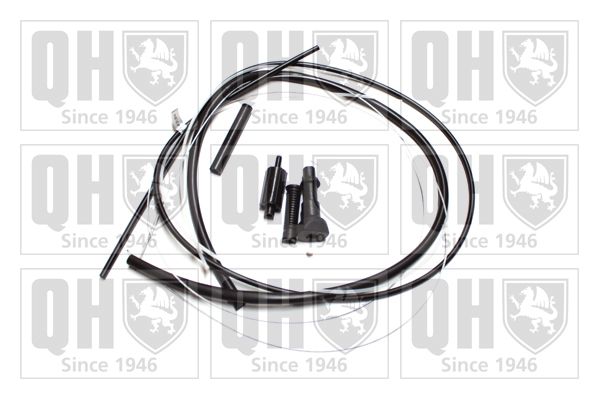 QH_QTC5003.JPG