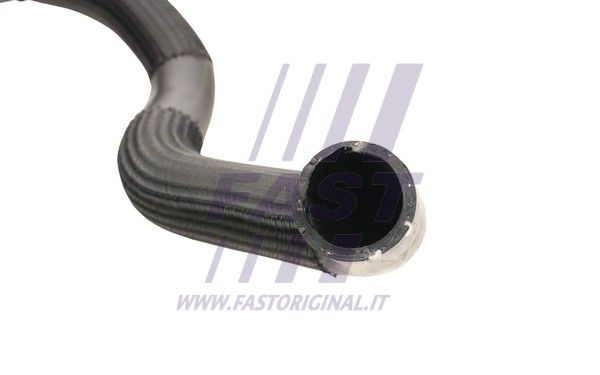 FT61034_3_1.JPG