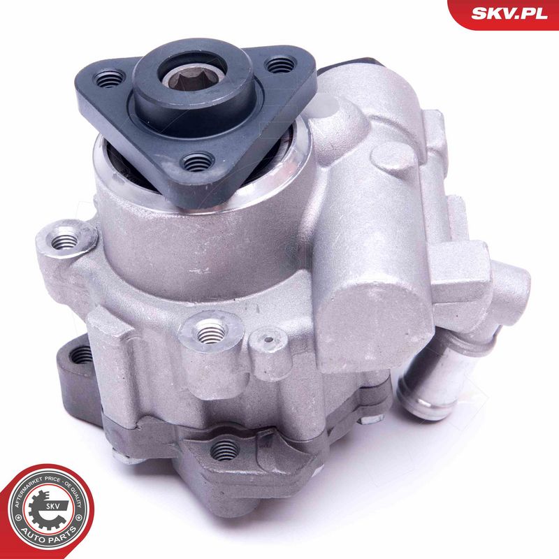 Hüdraulikapump, roolimine, ESEN SKV 10SKV248