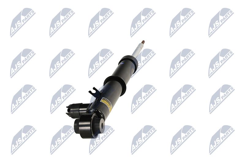 Amort, NTY A-LR-034
