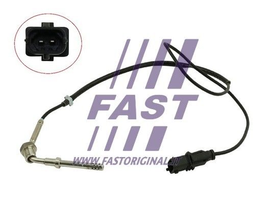 FT80231_1_1.JPG