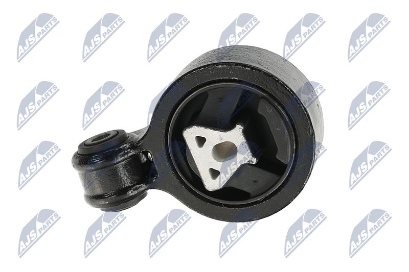 Paigutus, Mootor, NTY ZPS-CH-137