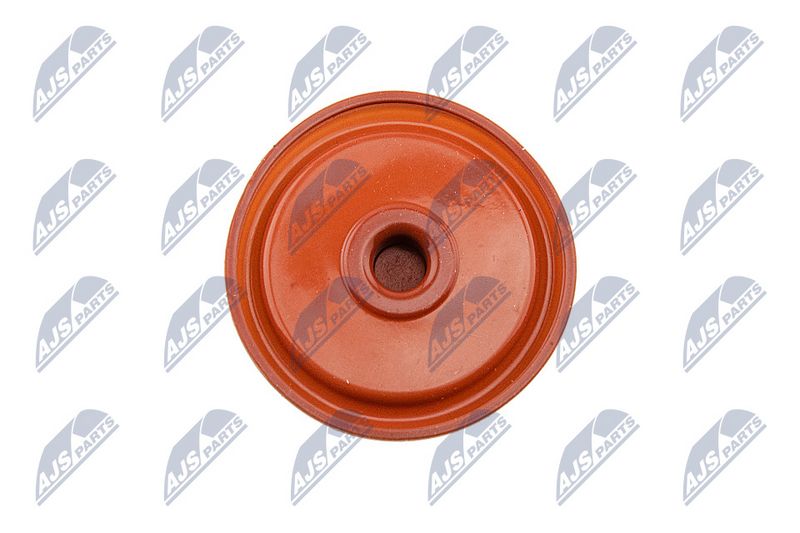 Klapikaas, NTY BPZ-PL-005