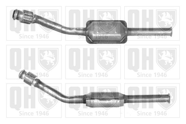 QH_QCAT91013H.JPG