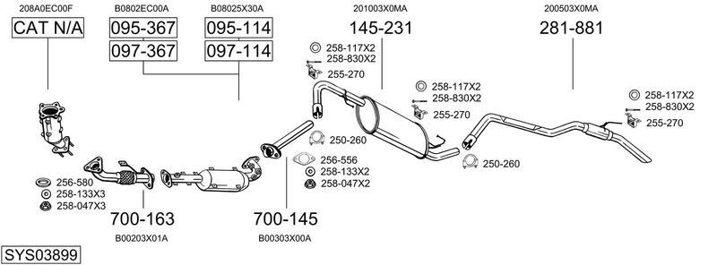 SYS03899.JPG