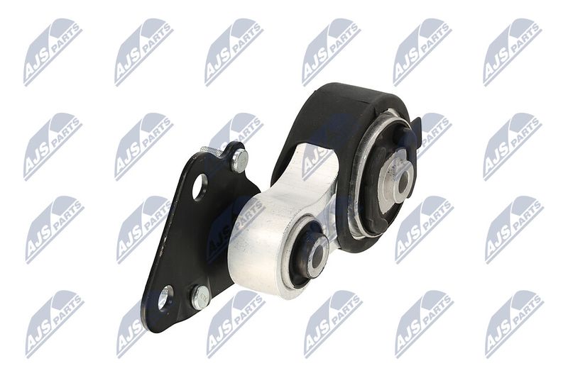 Paigutus, Mootor, NTY ZPS-CH-075