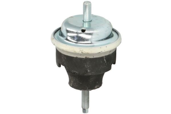 REINHOCH RH11-2226 Mounting, engine