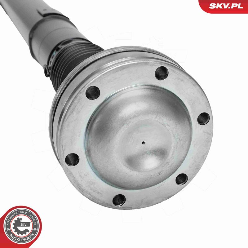 ESEN SKV 76SKV191 - Kardaninis velenas