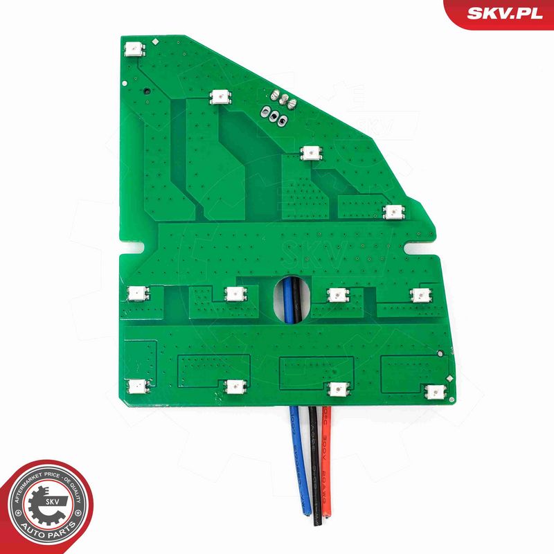 ESEN SKV 59SKV296 Control Unit, lights