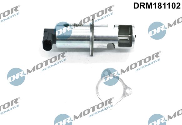 Dr.Motor Automotive AGR-szelep DRM181102