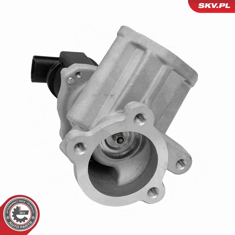 ESEN SKV 14SKV314 EGR Valve