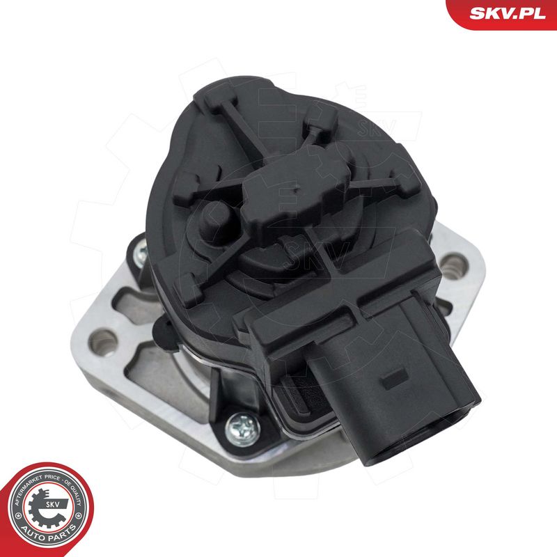 EGR-klapp, ESEN SKV 14SKV302