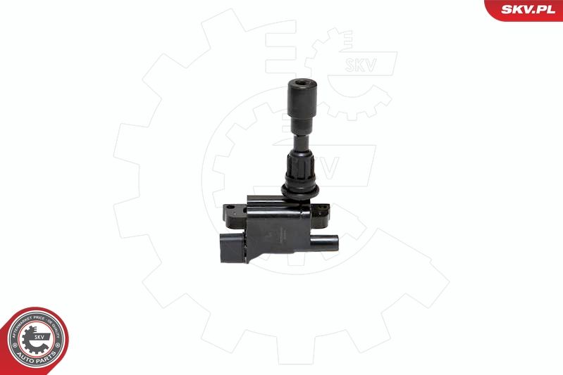 ESEN SKV 03SKV180 Ignition Coil