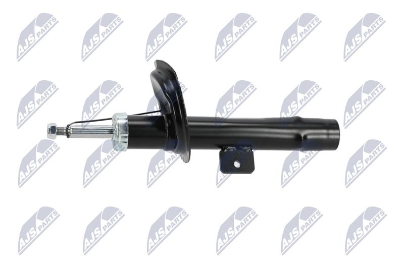 Amort, NTY A-CT-020