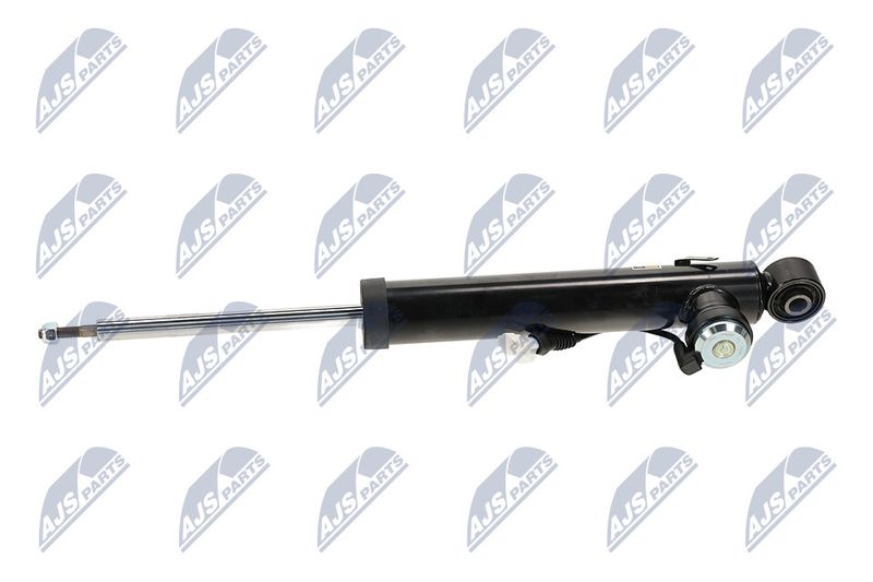 Amort, NTY A-PL-066