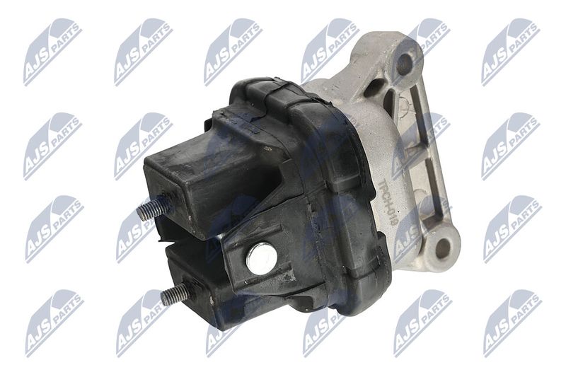 Paigutus, Mootor, NTY ZPS-CH-019