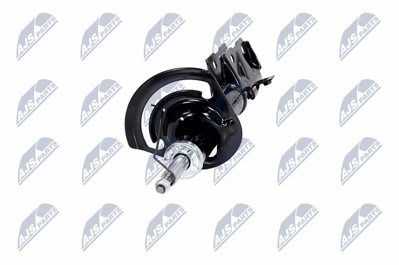 Amort, NTY A-CH-056