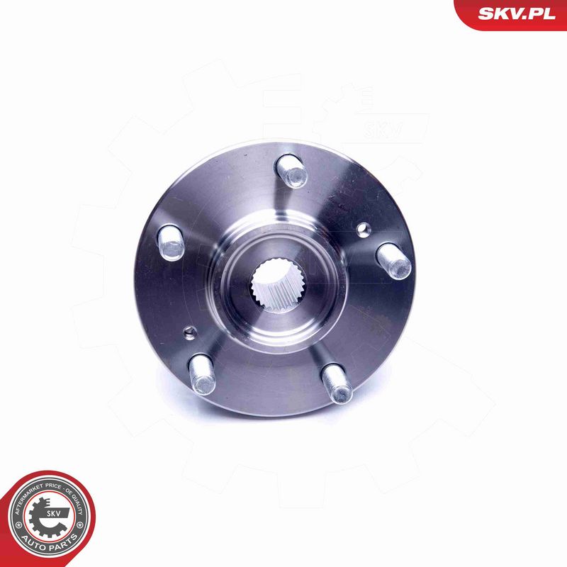 ESEN SKV 29SKV229 Wheel Bearing Kit