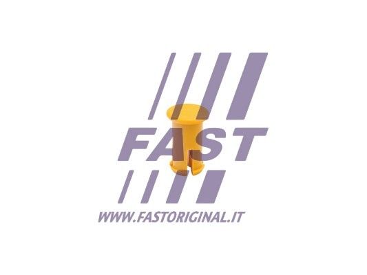FT96021_1_1.JPG
