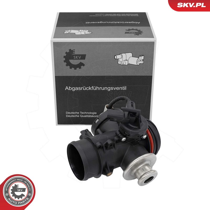 EGR-klapp, ESEN SKV 14SKV295