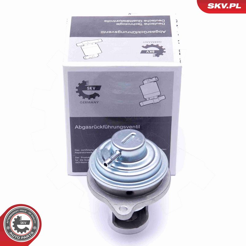 ESEN SKV 14SKV182 - EGR Valve