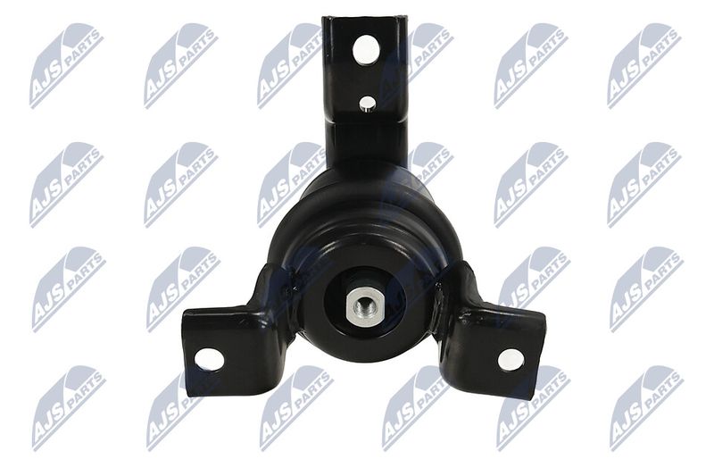 Paigutus, Mootor, NTY ZPS-MS-062
