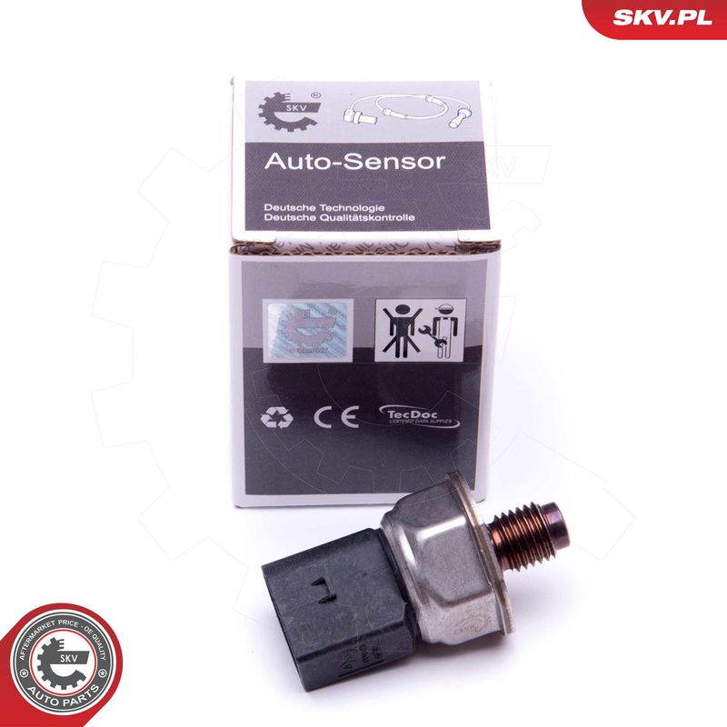 Andur, kütuserõhk, ESEN SKV 17SKV594