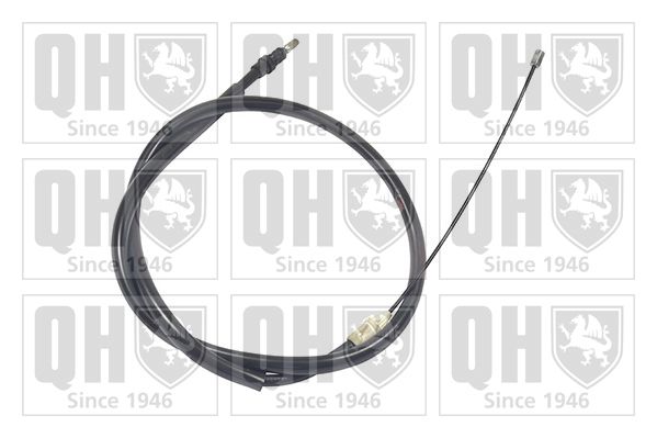 QH_BC2895.JPG