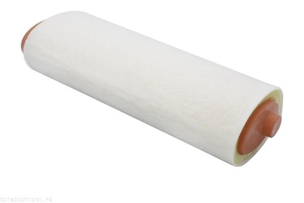 AUTOMEGA 180067110 Air Filter