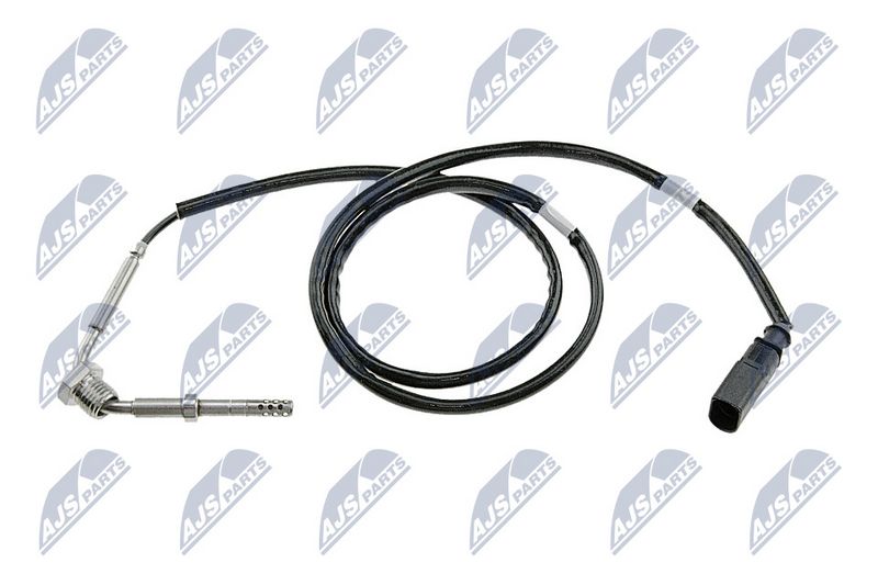 egt-vw-075_1-wm.JPG