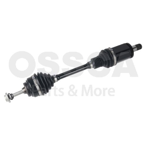 OSSCA 41371 - Pusašis