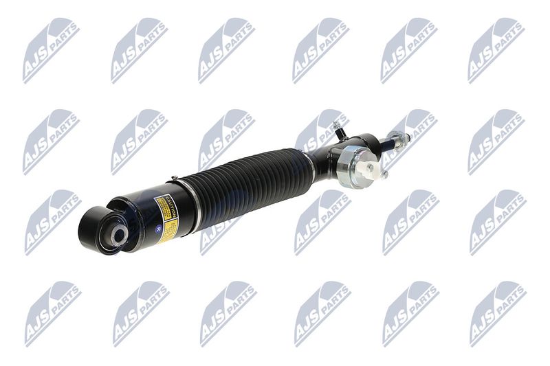 Amort, NTY A-NS-056