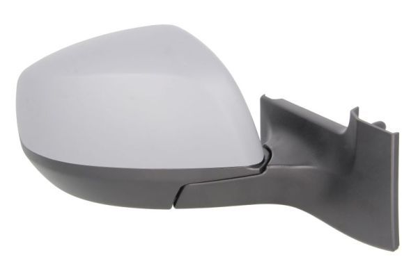 BLIC 5402-04-2001968P Exterior Mirror