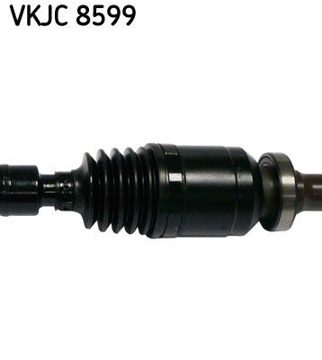 VKJC 8599_3.JPG