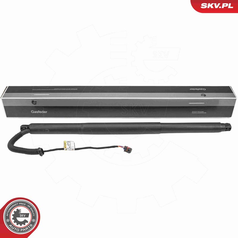 ESEN SKV 52SKV198 - Electric Motor, tailgate