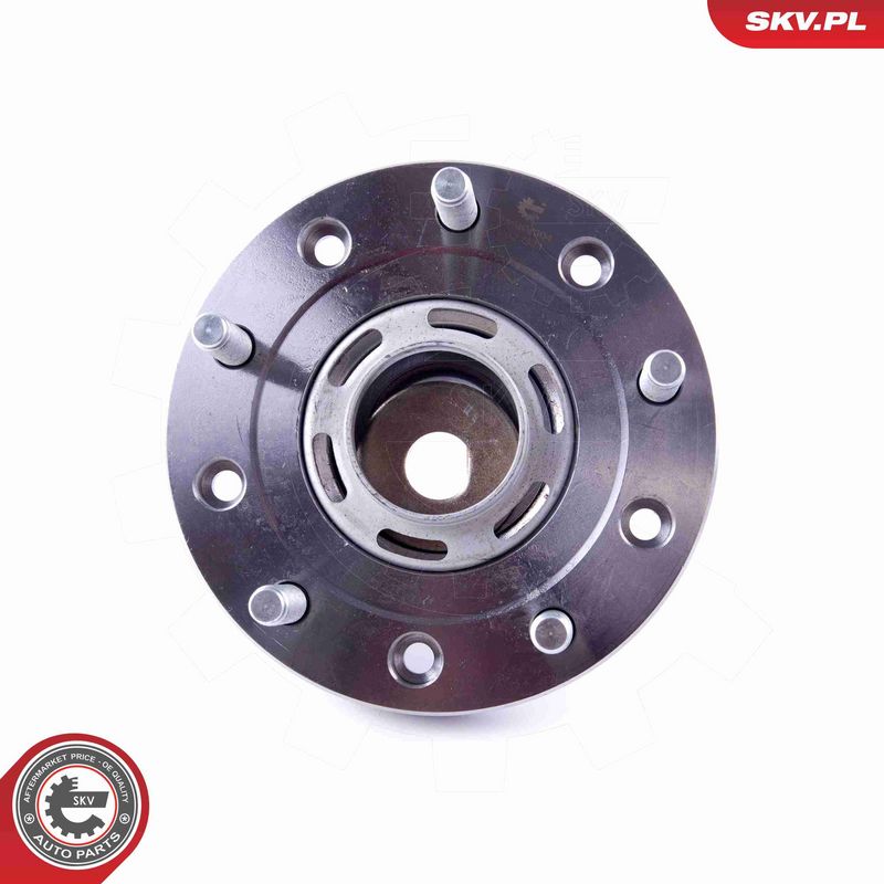 ESEN SKV 29SKV304 Wheel Bearing Kit