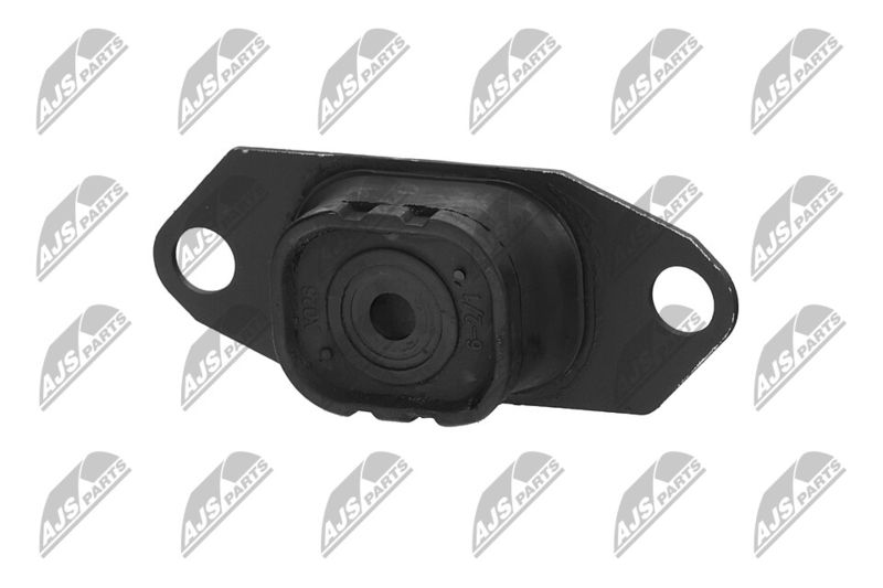 Paigutus, Mootor, NTY ZPS-NS-055
