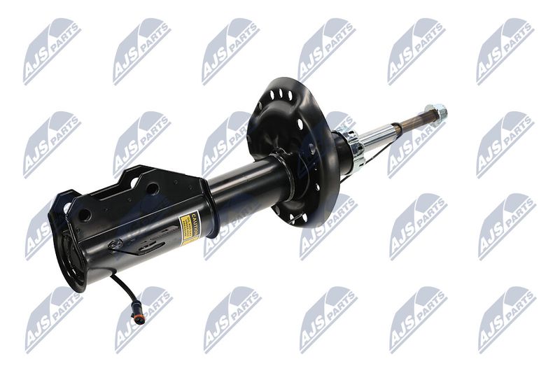 Amort, NTY A-PL-062