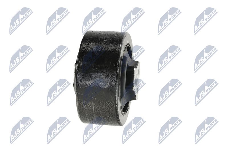 Paigutus, Mootor, NTY ZPS-CH-137