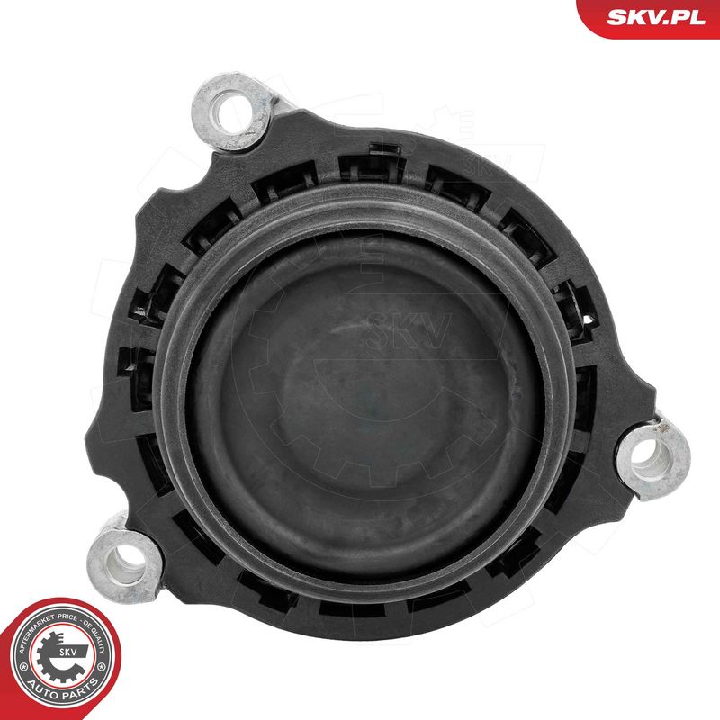 Paigutus, Mootor, ESEN SKV 75SKV087