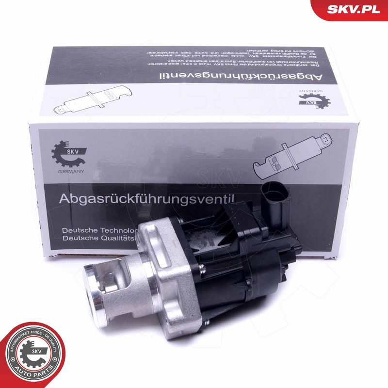 EGR-klapp, ESEN SKV 14SKV217
