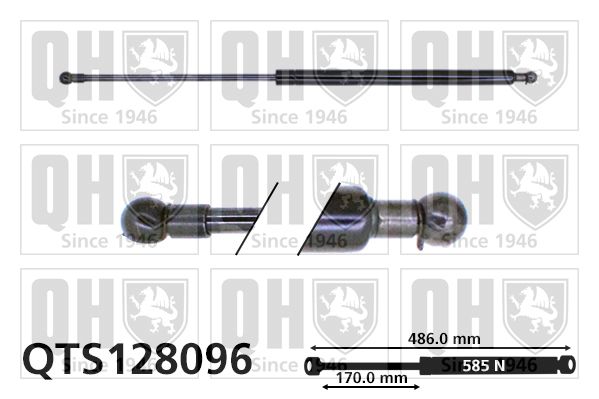 QUINTON HAZELL gázrugó, csomag-/poggyásztér QTS128096