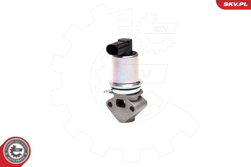 ESEN SKV 14SKV043 EGR Valve